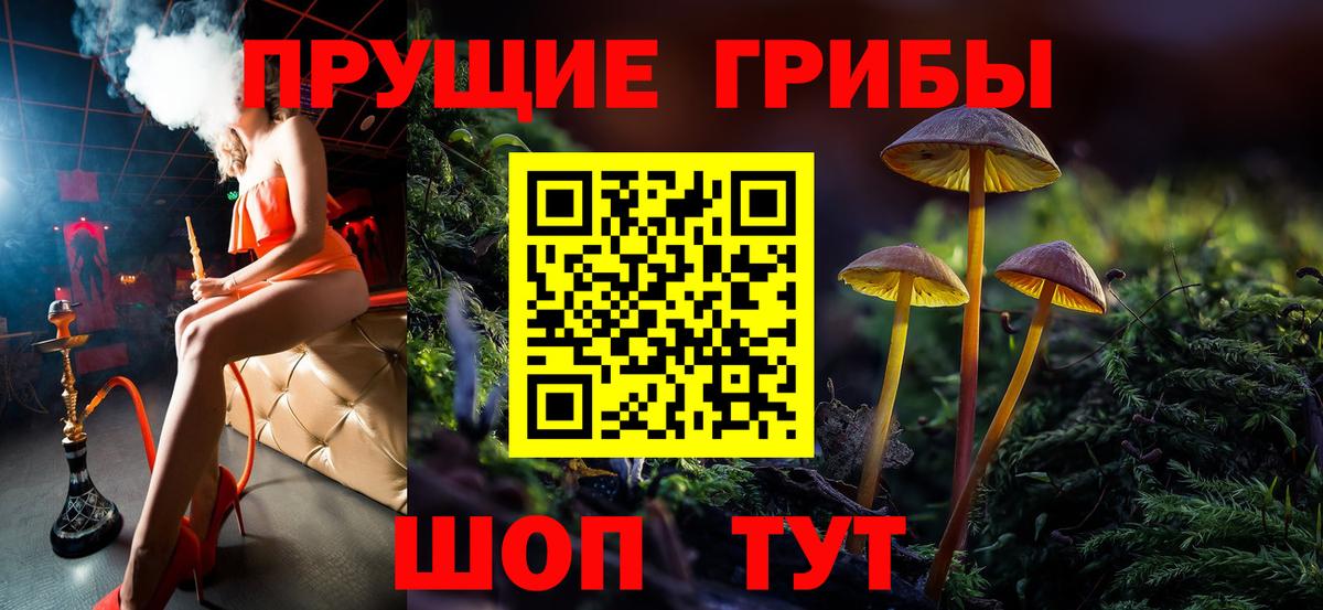 Псилоцибиновые грибы мицелий Верхняя Салда